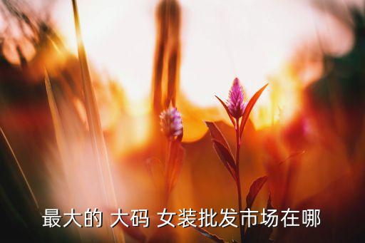福州哪里可以買(mǎi)到大碼女裝...